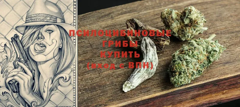 MEGA ONION  Верхнеуральск  Галлюциногенные грибы GOLDEN TEACHER  где продают  